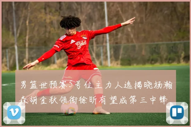 男篮世预赛5号位主力人选揭晓杨瀚森胡金秋领衔徐昕有望成第三中锋